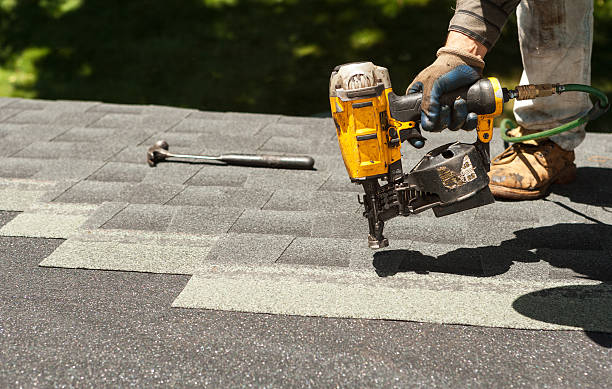 Best Local Roofing Companies  in Parkland, WA